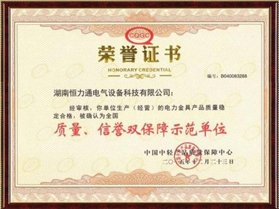 2015年質(zhì)量、信譽(yù)雙保障示范單位